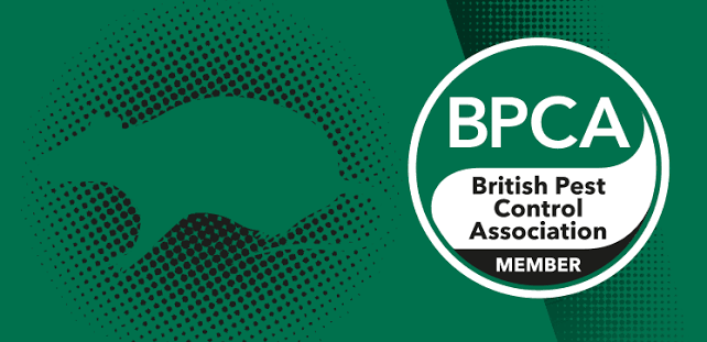 BPCA Member